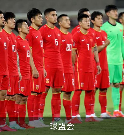 关于球盟会